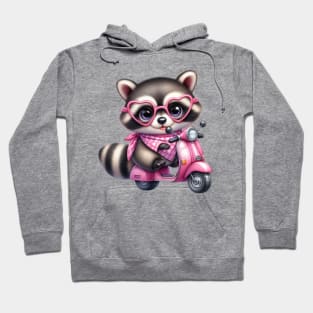 Valentine Raccoon In Pink Scooter Hoodie